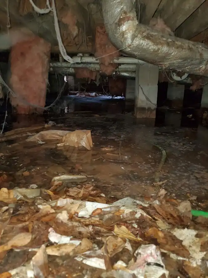 Crawl space flood assessment for Commercial Water Damage Restoration in Sweet Home