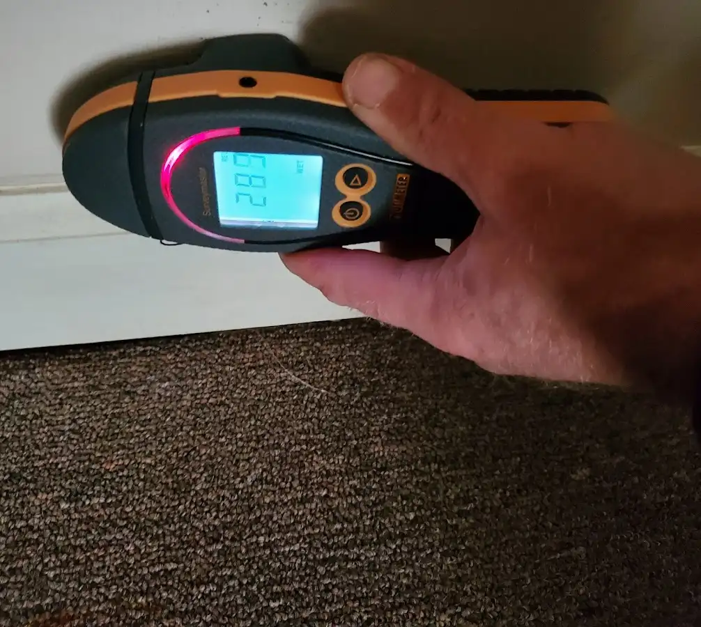 Moisture detection at baseboard during Sewage Cleanup & Sanitation in Sweet Home